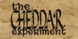 cheddar-experiment